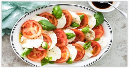 menu catering vegan protein tinggi